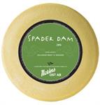 Spader Dam H45+